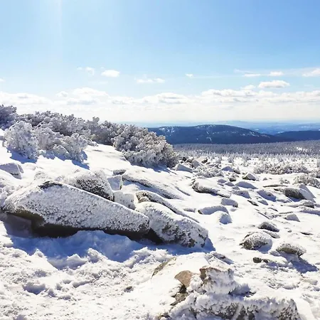 アパート Cozy In シクラルスカ・ポレンバ